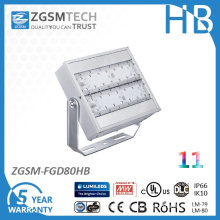 UL cUL Dlc Approved 277-480VAC High Voltage Flood Light